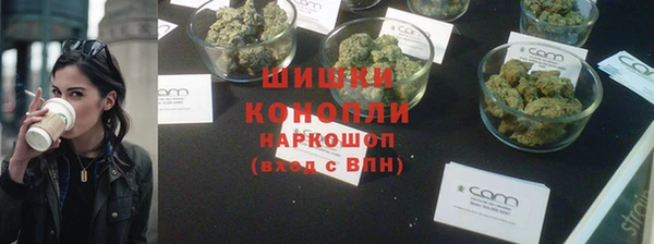 МДПВ Гусев