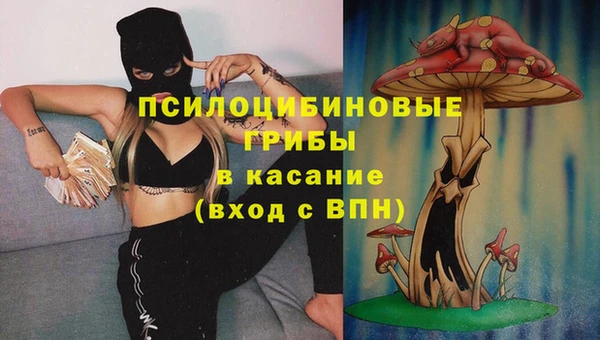 2c-b Алексин