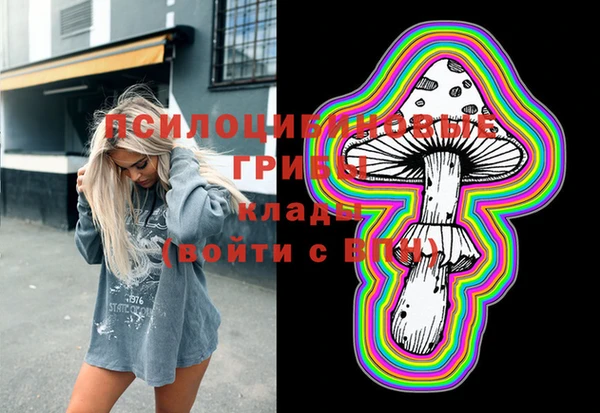 ECSTASY Алексеевка