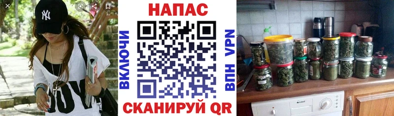 Марихуана семена  Анапа 